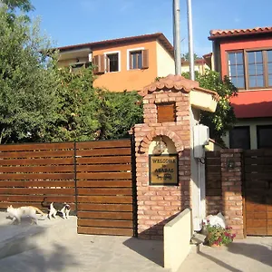 3* Vendégház Arabas